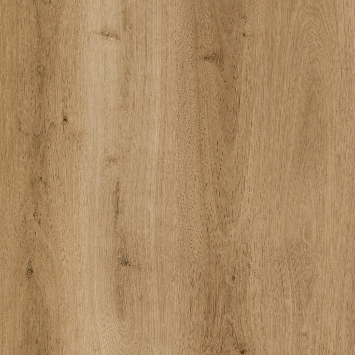 LVT dryback – Lys natur 185