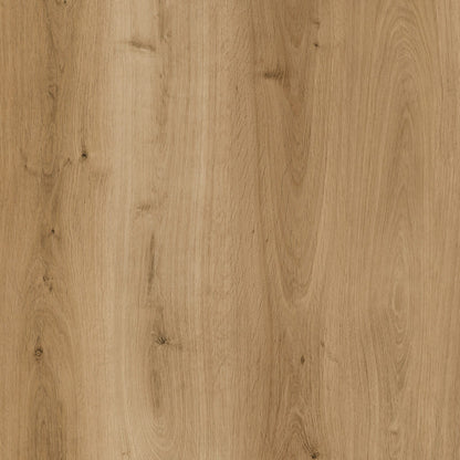 LVT dryback – Lys natur 185