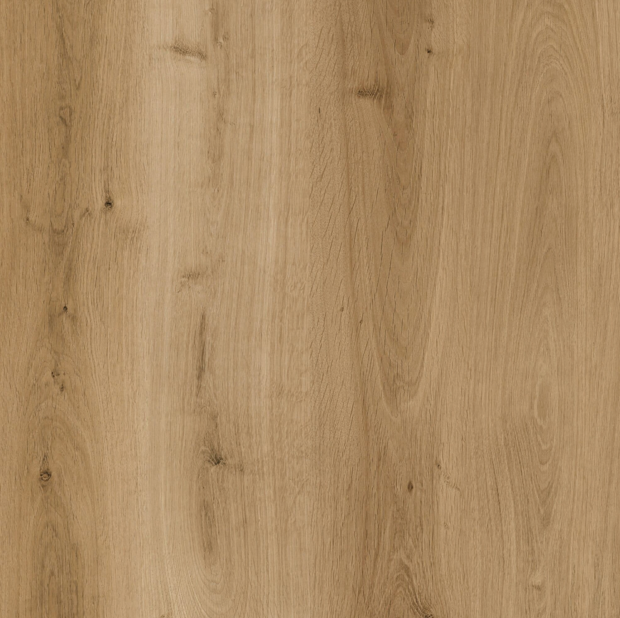 LVT Unika planke klik kork - Lys natur 185